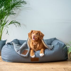 Smart Pet